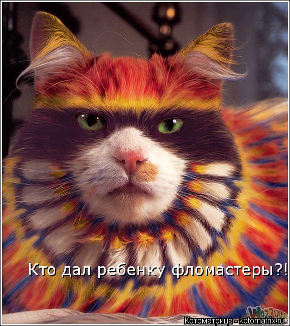 Котоматрица: Кто дал ребенку фломастеры?!!!!!