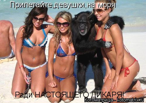Прилетайте,девушки,на моря Ради НАСТОЯЩЕГО ДИКАРЯ!... Котоматрица: Прилетайте,девушки,на моря Ради НАСТОЯЩЕГО ДИКАРЯ!