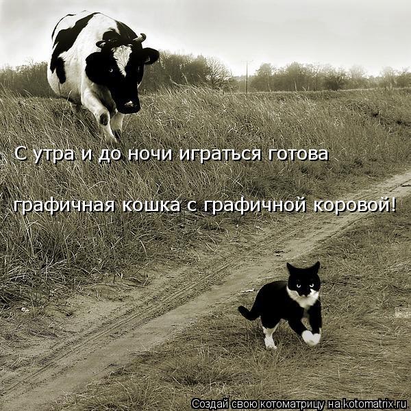 С утра и до ночи играться готова графичная кошка с графичной коровой!... Котоматрица: С утра и до ночи играться готова графичная кошка с графичной коровой!