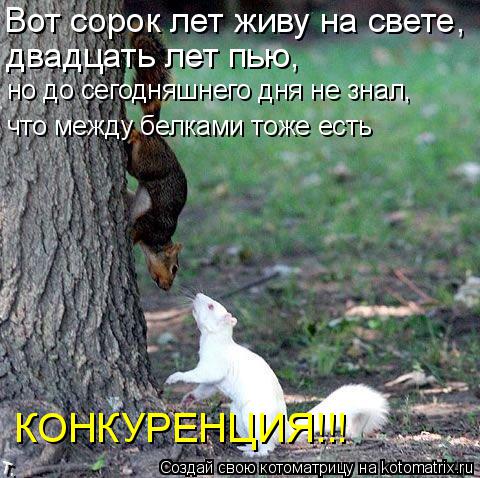 Вот сорок лет живу на свете, двадцать лет пью, но до сегодняшнего дня не знал, что между белками т... Котоматрица: Вот сорок лет живу на свете, двадцать лет пью, но до сегодняшнего дня не знал, что между белками тоже есть КОНКУРЕНЦИЯ!!!