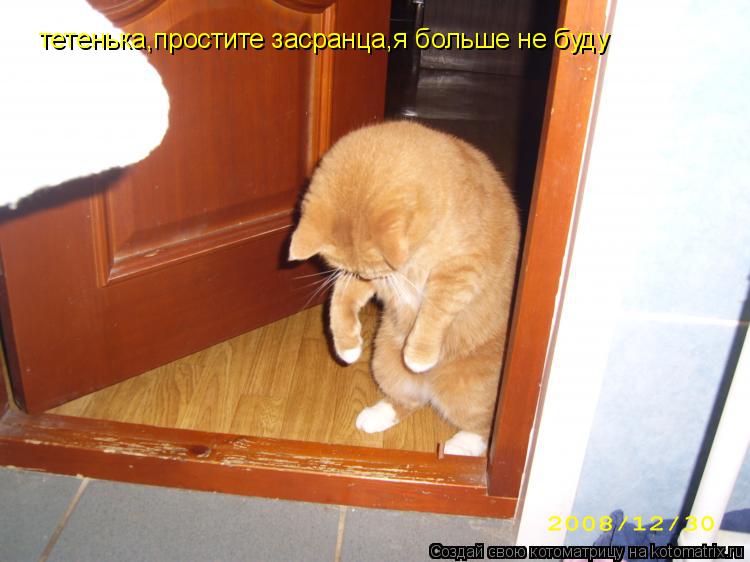 тетенька,простите засранца,я больше не буду... Котоматрица: тетенька,простите засранца,я больше не буду