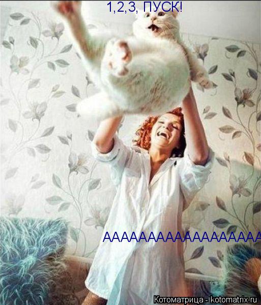 Котоматрица: 1,2,3, ПУСК! АААААААААААААААААААА