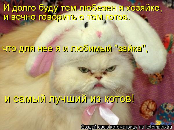 Котоматрица: И долго буду тем любезен я хозяйке, и вечно говорить о том готов.  что для нее я и любимый "зайка",  и самый лучший из котов!