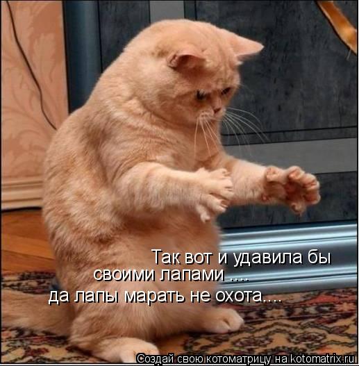 Так вот и удавила бы своими лапами .... да лапы марать не охота....... Котоматрица: Так вот и удавила бы своими лапами .... да лапы марать не охота....