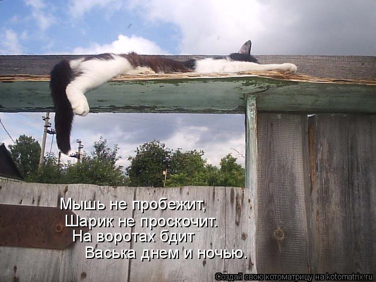 Шарик не проскочит. На воротах бдит Мышь не пробежит, Васька днем и ночью.... Котоматрица: Шарик не проскочит. На воротах бдит Мышь не пробежит, Васька днем и ночью.