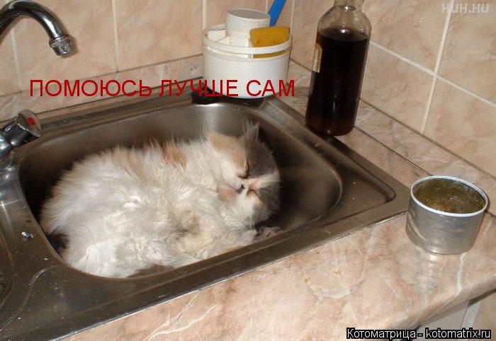 Котоматрица: ПОМОЮСЬ ЛУЧШЕ САМ