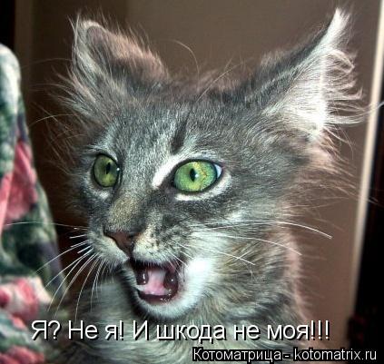 Котоматрица: Я? Не я! И шкода не моя!!!