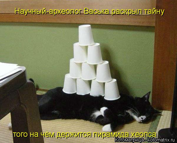 Научный-археолог Васька раскрыл тайну того на чём держится пирамида хеопса... Котоматрица: Научный-археолог Васька раскрыл тайну того на чём держится пирамида хеопса