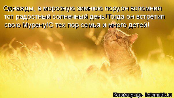 Однажды, в морозную зимнюю пору,он вспомнил тот радостный солнечный день!Тогда он встретил свою Мурен... Котоматрица: Однажды, в морозную зимнюю пору,он вспомнил тот радостный солнечный день!Тогда он встретил свою Мурену!С тех пор семья и много детей!