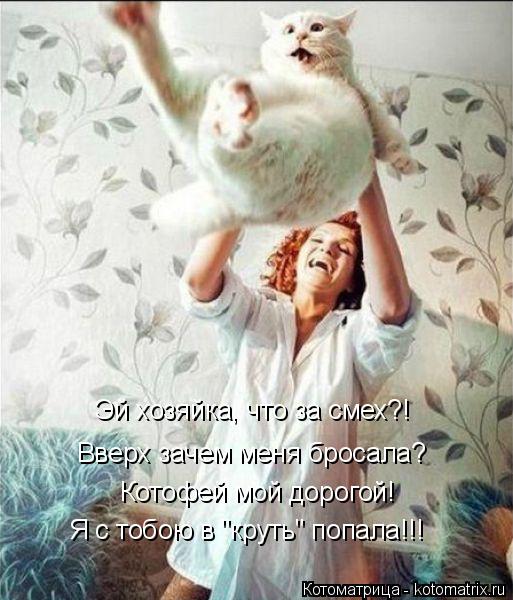 Котоматрица: Котофей мой дорогой! Вверх зачем меня бросала? Эй хозяйка, что за смех?! Я с тобою в "круть" попала!!!