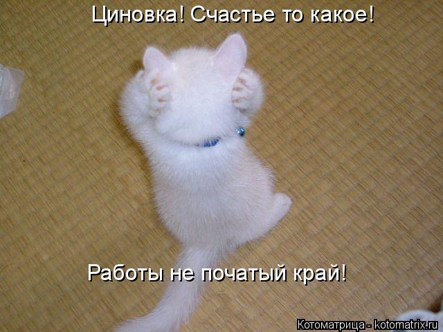 Котоматрица: Циновка! Счастье то какое! Работы не початый край!