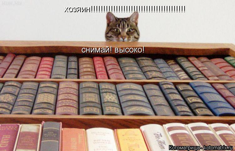 Котоматрица: хозяин!!!!!!!!!!!!!!!!!!!!!!!!!!!!!!!!!!!!!! снимай! высоко!