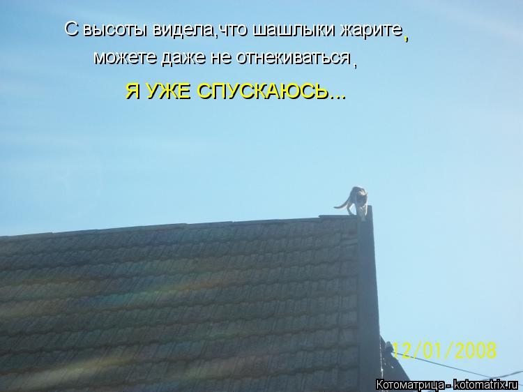 С высоты видела,что шашлыки жарите можете даже не отнекиваться , Я УЖЕ СПУСКАЮСЬ... ,... Котоматрица: С высоты видела,что шашлыки жарите можете даже не отнекиваться , Я УЖЕ СПУСКАЮСЬ... ,