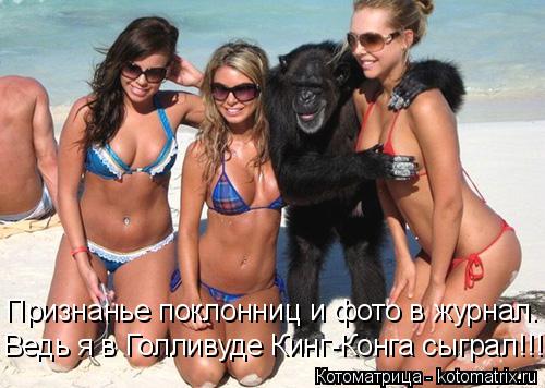 Котоматрица: Признанье поклонниц и фото в журнал. Ведь я в Голливуде Кинг-Конга сыграл!!!