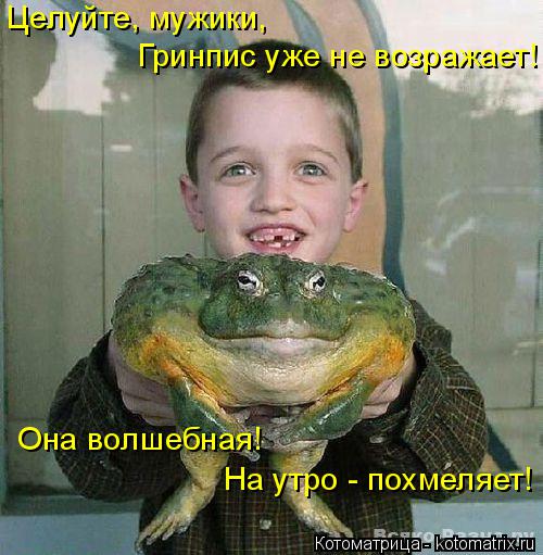 Целуйте, мужики, Гринпис уже не возражает! Она волшебная! На утро - похмеляет!... Котоматрица: Целуйте, мужики, Гринпис уже не возражает! Она волшебная! На утро - похмеляет!
