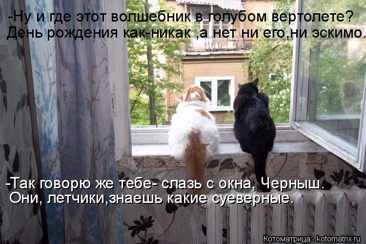 Котоматрица: -Ну и где этот волшебник в голубом вертолете? День рождения все-таки. -Ну и где этот волшебник в голубом вертолете? День рождения как-никак ,а 