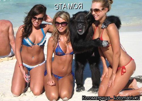 ЭТА МОЯ... Котоматрица: ЭТА МОЯ