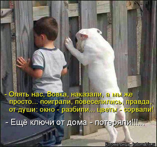 Котоматрица: - Опять нас, Вовка, наказали, а мы же просто... поиграли, повеселились, правда, от души: окно - разбили... цветы - сорвали! - Ещё ключи от дома - поте