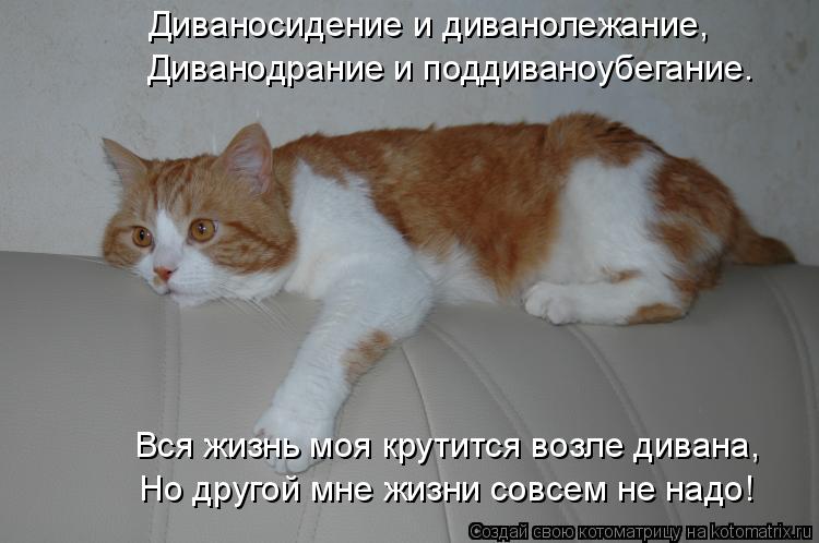 Диваносидение и диванолежание, Диванодрание и поддиваноубегание. Вся жизнь моя крутится возле дивана,... Котоматрица: Диваносидение и диванолежание, Диванодрание и поддиваноубегание. Вся жизнь моя крутится возле дивана, Но другой мне жизни совсем не надо!