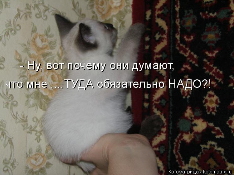 - Ну, вот почему они думают, что мне ....ТУДА обязательно НАДО?!... Котоматрица: - Ну, вот почему они думают, что мне ....ТУДА обязательно НАДО?!