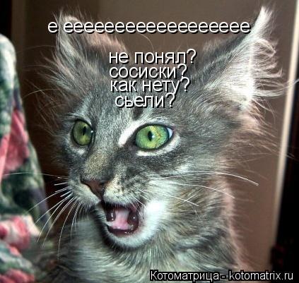 Котоматрица: е ееееееееееееееееее не понял? сосиски? как нету? сьели?
