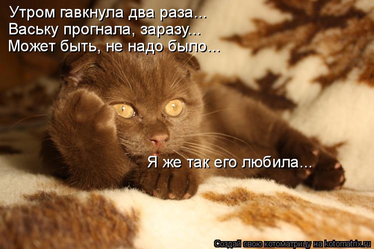 Утром гавкнула два раза... Ваську прогнала, заразу... Может быть, не надо было... Я же так его любила... Котоматрица: Утром гавкнула два раза... Ваську прогнала, заразу... Может быть, не надо было... Я же так его любила...