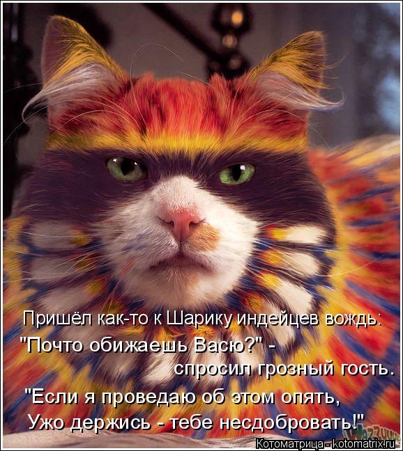 Котоматрица: Пришёл как-то к Шарику индейцев вождь:  спросил грозный гость. "Почто обижаешь Васю?" - "Если я проведаю об этом опять,  Ужо держись - тебе несдо