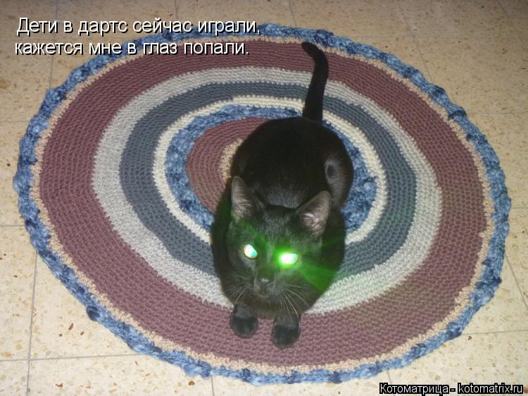 Котоматрица: Дети в дартс сейчас играли, кажется мне в глаз попали.