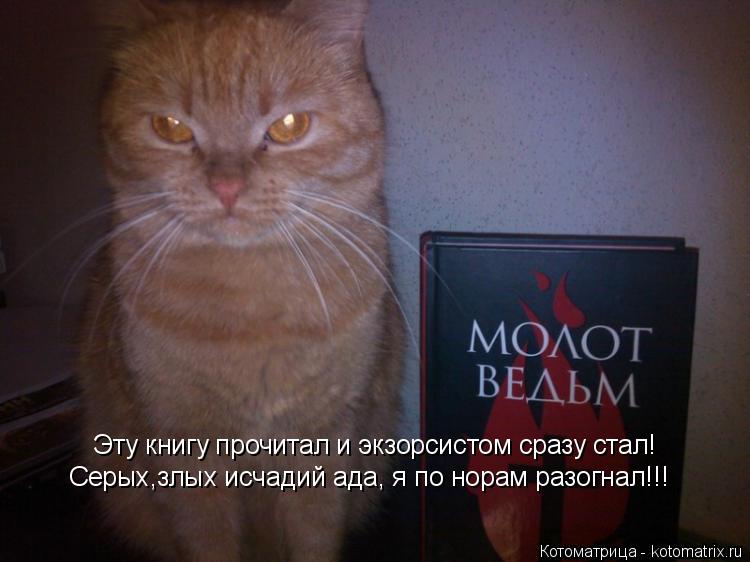 Котоматрица: Эту книгу прочитал и экзорсистом сразу стал! Серых,злых исчадий ада, я по норам разогнал!!!