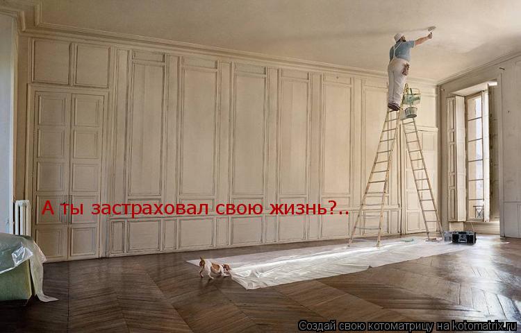 Котоматрица: А ты застраховал свою жизнь?..