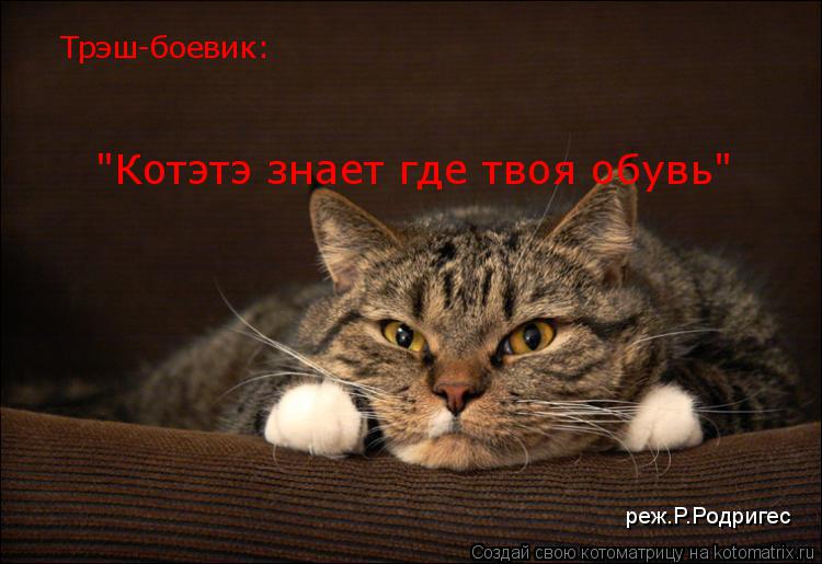Трэш-боевик: "Котэтэ знает где твоя обувь" реж.Р.Родригес... Котоматрица: Трэш-боевик: "Котэтэ знает где твоя обувь" реж.Р.Родригес