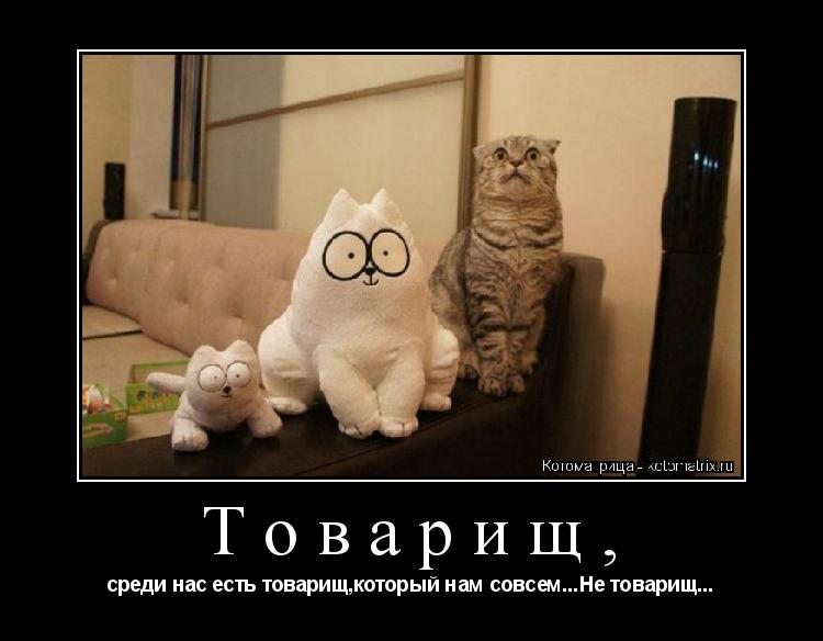 Товарищ, среди нас есть товарищ,который нам совсем...Не товарищ...... Котоматрица: Товарищ, среди нас есть товарищ,который нам совсем...Не товарищ...