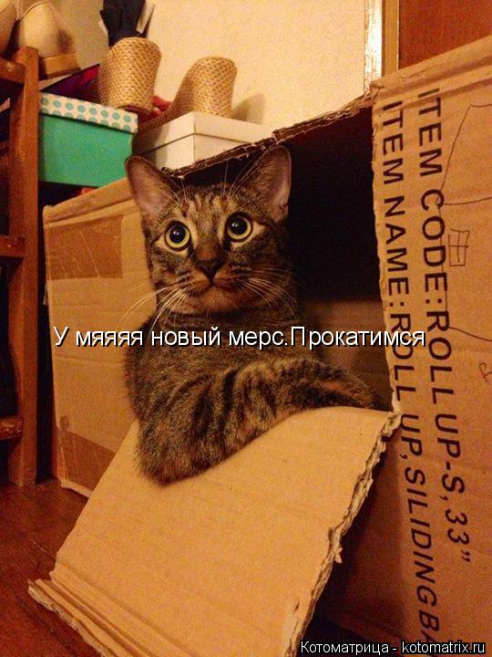 Котоматрица: У мяяяя новый мерс.Прокатимся