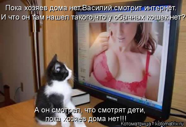Пока хозяев дома нет,Василий смотрит интернет. И что он там нашел такого,что у обычных кошек нет? А о... Котоматрица: Пока хозяев дома нет,Василий смотрит интернет. И что он там нашел такого,что у обычных кошек нет? А он смотрел, что смотрят дети, пока хозяев
