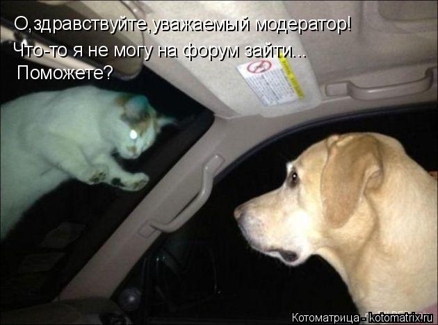 О,здравствуйте,уважаемый модератор! Что-то я не могу на форум зайти... Поможете?... Котоматрица: О,здравствуйте,уважаемый модератор! Что-то я не могу на форум зайти... Поможете?