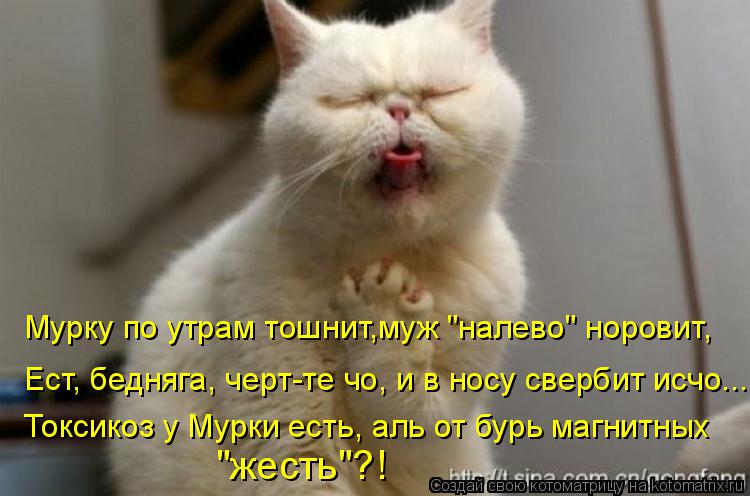 Мурку по утрам тошнит,муж "налево" норовит, Ест, бедняга, черт-те чо, и в носу свербит исчо... Токсик... Котоматрица: Мурку по утрам тошнит,муж "налево" норовит, Ест, бедняга, черт-те чо, и в носу свербит исчо... Токсикоз у Мурки есть, аль от бурь магнитных "жест