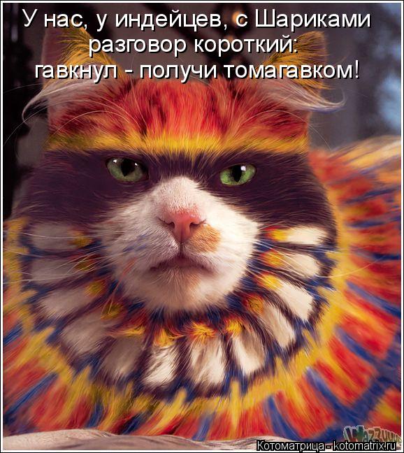 У нас, у индейцев, с Шариками разговор короткий: гавкнул - получи томагавком!... Котоматрица: У нас, у индейцев, с Шариками разговор короткий: гавкнул - получи томагавком!