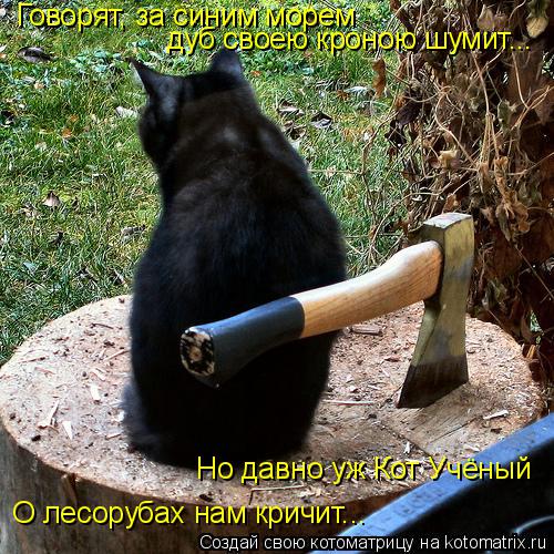 Говорят, за синим морем дуб своею кроною шумит... Но давно уж Кот Учёный О лесорубах нам кричит...... Котоматрица: Говорят, за синим морем дуб своею кроною шумит... Но давно уж Кот Учёный О лесорубах нам кричит...