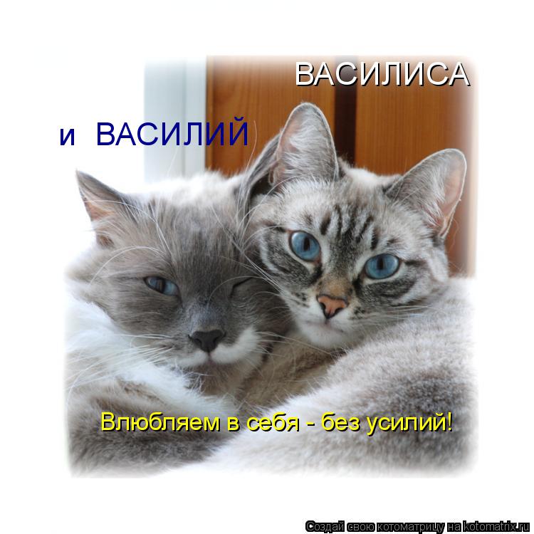 Котоматрица: ВАСИЛИСА   и  ВАСИЛИЙ Влюбляем в себя - без усилий!
