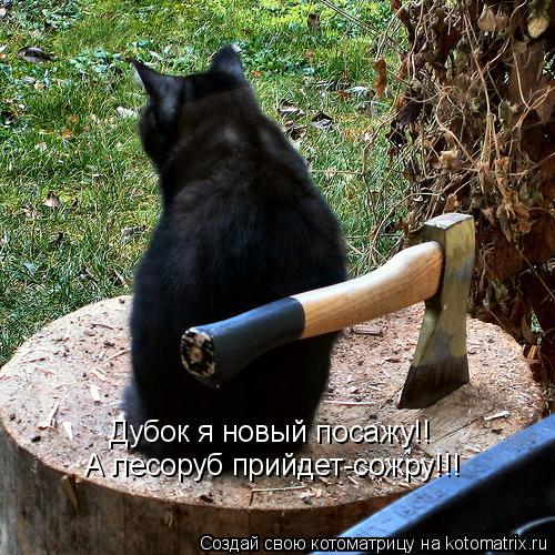 Дубок я новый посажу!! А лесороу прийдет-сожру!1111111111 А лесоруб прийдет-сожру!!!... Котоматрица: Дубок я новый посажу!! А лесороу прийдет-сожру!1111111111 А лесоруб прийдет-сожру!!!