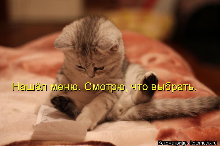Котоматрица: Нашёл меню. Смотрю, что выбрать.