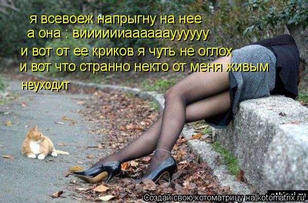 я всевоеж напрыгну на нее а она : вииииииаааааауууууу и вот от ее криков я чуть не оглох и вот что ст... Котоматрица: я всевоеж напрыгну на нее а она : вииииииаааааауууууу и вот от ее криков я чуть не оглох и вот что странно некто от меня живым неуходит