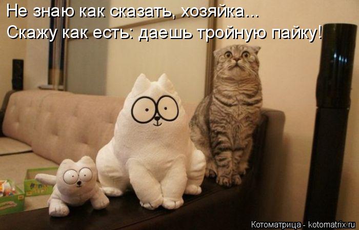 Не знаю как сказать, хозяйка... Скажу как есть: даешь тройную пайку!... Котоматрица: Не знаю как сказать, хозяйка... Скажу как есть: даешь тройную пайку!