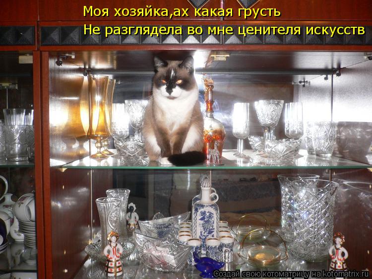 Не разглядела во мне ценителя искусств Моя хозяйка,ах какая грусть... Котоматрица: Не разглядела во мне ценителя искусств Моя хозяйка,ах какая грусть