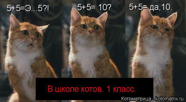 Котоматрица: 5+5=Э...5?! В школе котов. 1 класс. 5+5= 10? 5+5= да,10.