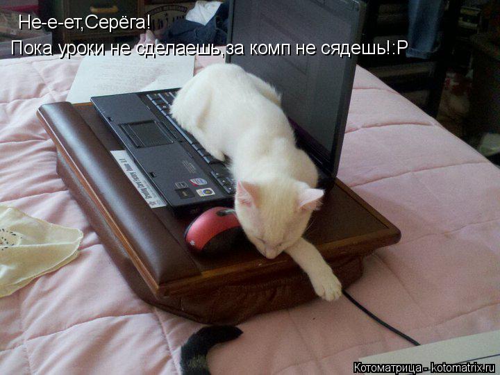 Котоматрица: Не-е-ет,Серёга! Пока уроки не сделаешь,за комп не сядешь!:Р