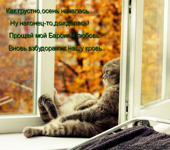 Как грустно,осень началась...... Ну наконец-то,дождалась! Прощай мой Барсик и любовь Вновь взбудоражи... Котоматрица: Как грустно,осень началась...... Ну наконец-то,дождалась! Прощай мой Барсик и любовь Вновь взбудоражит нашу кровь..