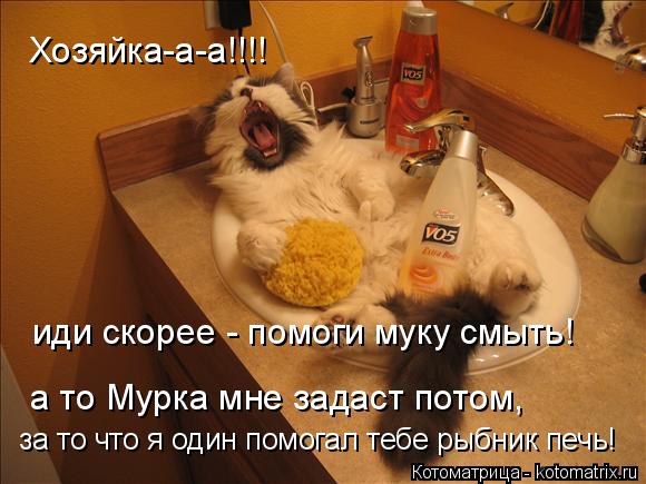 Котоматрица: Хозяйка-а-а!!!! иди скорее - помоги муку смыть!  а то Мурка мне задаст потом,  за то что я один помогал тебе рыбник печь!