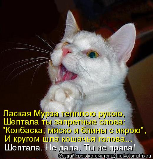 Лаская Мурза тепплою рукою, Шептала ты запретные слова: "Колбаска, мяско и блины с икрою", И кругом ш... Котоматрица: Лаская Мурза тепплою рукою, Шептала ты запретные слова: "Колбаска, мяско и блины с икрою", И кругом шла кошачья голова... Шептала. Не дала. Ты н