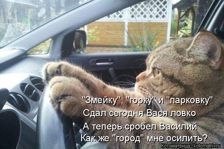 "Змейку", "горку" и "парковку" Сдал сегодня Вася ловко А теперь сробел Василий Как же "город" мне ос... Котоматрица: "Змейку", "горку" и "парковку" Сдал сегодня Вася ловко А теперь сробел Василий Как же "город" мне осилить?
